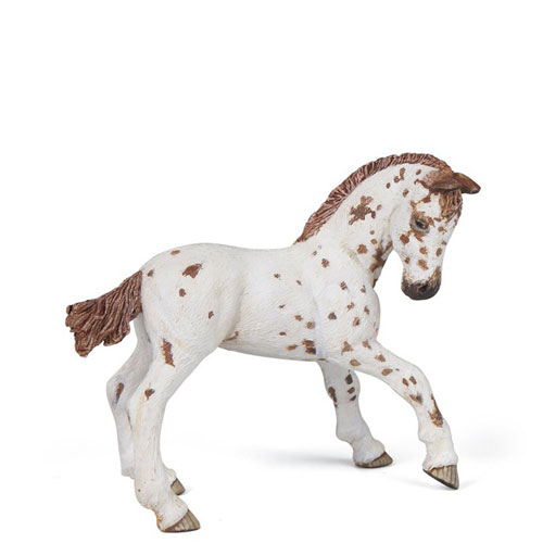 PULEDRO APPALOOSA MARRONE