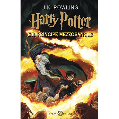 HARRY POTTER E IL PRINCIPE MEZZOSANGUE - libro volume 6°