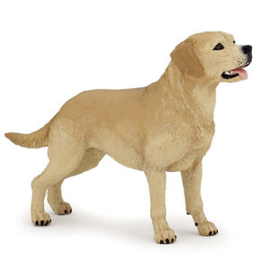 LABRADOR