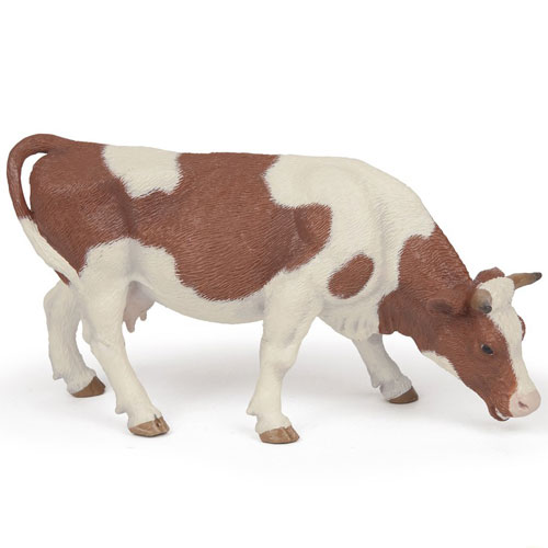 MUCCA ROSSA CHE MANGIA