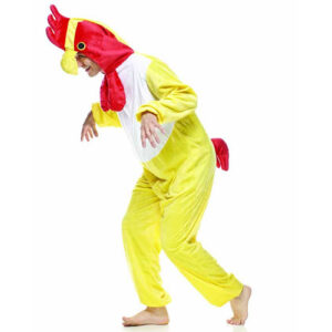 AFFITTO COSTUME POLLO