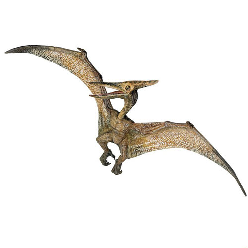 PTERANODON - DINOSAURO
