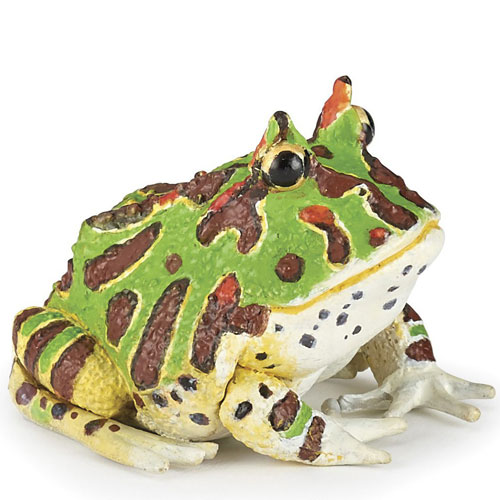 RANA CORNUTA
