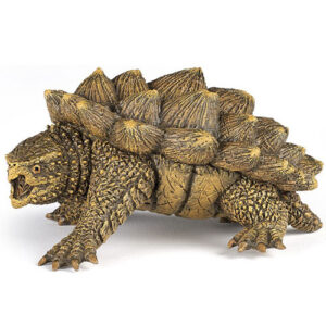 TARTARUGA ALLIGATORE