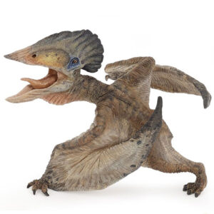 TUPUXUARA - DINOSAURO